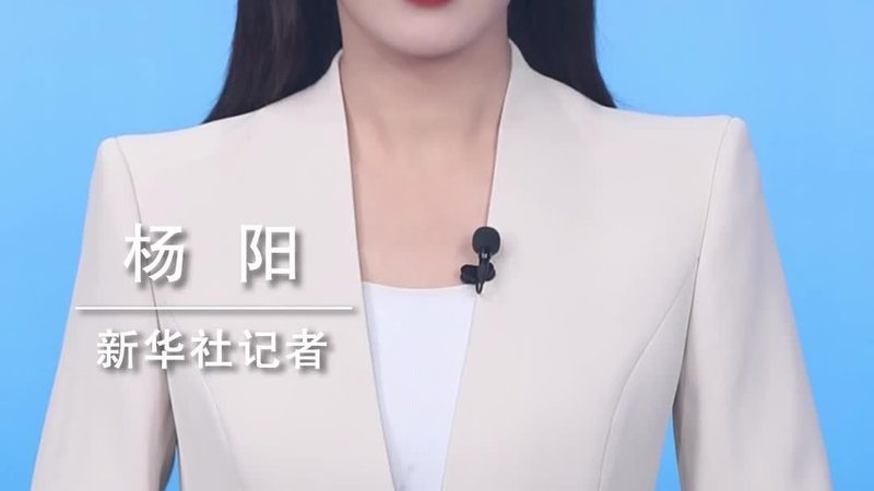 SaaS平台实施周期揭秘：影响因素与优化策略